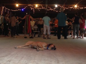Dancing at Village Harmony Camp in Vermont, 2014